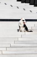 Jean-Marc PENRATH - STUDIO DES VIGNES D'AVARICUM